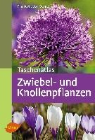 Taschenatlas Zwiebel- und Knollenpflanzen