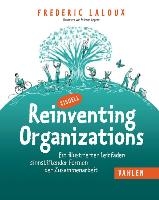 Reinventing Organizations visuell