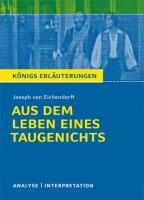 Aus dem Leben eines Taugenichts. Textanalyse und Interpretation voorzijde