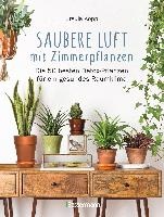 Saubere Luft mit Zimmerpflanzen voorzijde