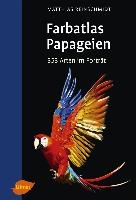 Papageien voorzijde