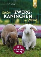Meine Zwergkaninchen zu Hause