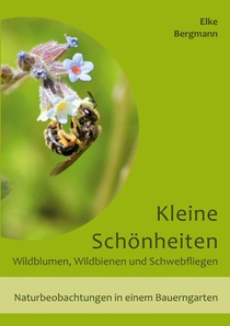 Kleine Schönheiten - Wildblumen, Wildbienen und Schwebfliegen
