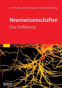 Neurowissenschaften