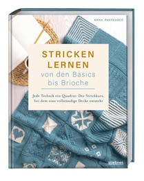 Stricken lernen von den Basics bis Brioche