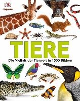 Tiere voorzijde