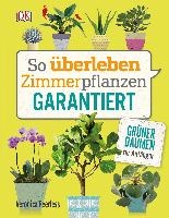 So überleben Zimmerpflanzen garantiert