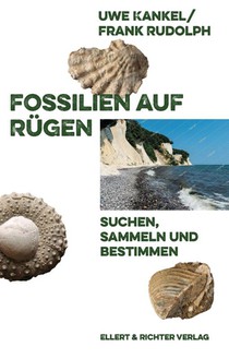 Fossilien auf Rügen