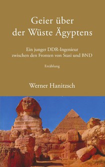 Geier uber der Wuste AEgyptens