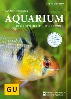 Faszinierendes Aquarium