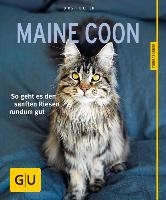 Maine Coon