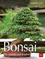 Bonsai voorzijde