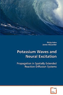 Potassium Waves and Neural Excitation