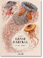 The Art and Science of Ernst Haeckel