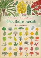 Birke, Buche, Baobab voorzijde