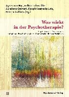 Was wirkt in der Psychotherapie?