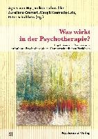 Was wirkt in der Psychotherapie? voorzijde