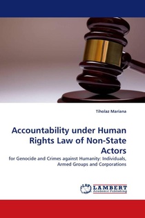 Accountability Under Human Rights Law of Non-State Actors