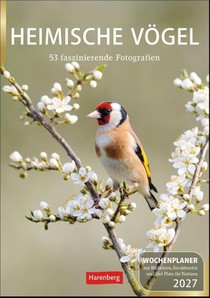 Heimische Vögel Wochenplaner 2027 - 53 faszinierende Fotografien