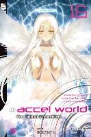 Accel World - Novel 16