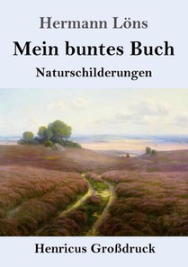 Mein buntes Buch (Grossdruck)