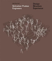 Schnetzer Puskas Engineers – Design Structure Experience