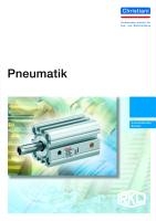Pneumatik