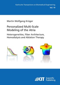 Personalized Multi-Scale Modeling of the Atria