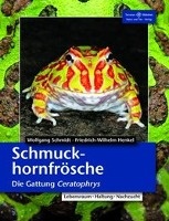 Schmuckhornfrösche