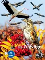 Entdecke die Zugvögel voorzijde