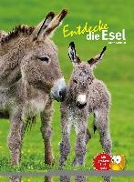 Entdecke die Esel