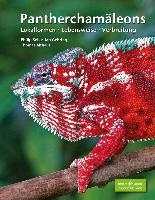 Pantherchamäleons
