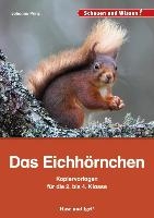 Das Eichhörnchen - Kopiervorlagen für die 2. bis 4. Klasse