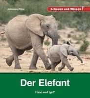 Der Elefant