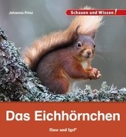 Das Eichhörnchen voorzijde