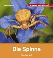 Die Spinne