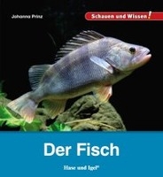 Der Fisch voorzijde