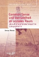 Common Sense und Verrücktheit im sozialen Raum