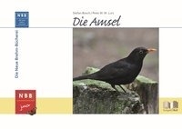 Die Amsel voorzijde