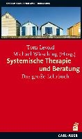 Systemische Therapie und Beratung - das große Lehrbuch voorzijde