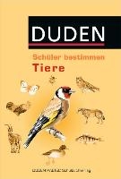 Schüler bestimmen Tiere