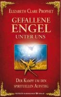 Gefallene Engel - Der Kampf um den spirituellen Aufstieg voorzijde