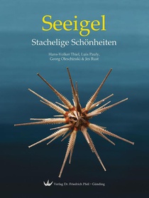 Seeigel - Stachelige Schönheiten