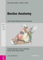 Bovine Anatomy voorzijde