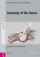 Anatomy of the Horse