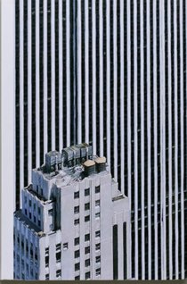The Rendering Eye: Urban America Revisited