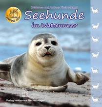 Seehunde im Wattenmeer voorzijde