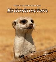 Erdmännchen