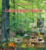 Lebendiger Wald