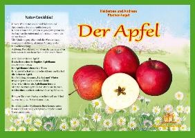 Naturkamishibai - Der Apfel